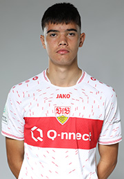 Mirza Catovic