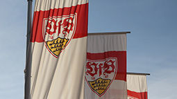 /?proxy=REDAKTION/Verein/1893-fahnen-255x143.jpg