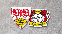 /?proxy=REDAKTION/Logos/1893-Bundesliga/Heim/wappen_vfb1893-bayer_leverkusen_255x143.jpg