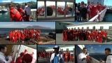 /?proxy=REDAKTION/vfbtv/Vorbereitung/20140112_Robben_Island-464x261_160x90.jpg