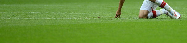 /?proxy=REDAKTION/News/2012-2013/Profis/Interview_Ibisevic_vor_Mainz_2012_606x140_b.jpg