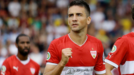 /?proxy=REDAKTION/News/2013-2014/Ibisevic_August_13_464x261.jpg