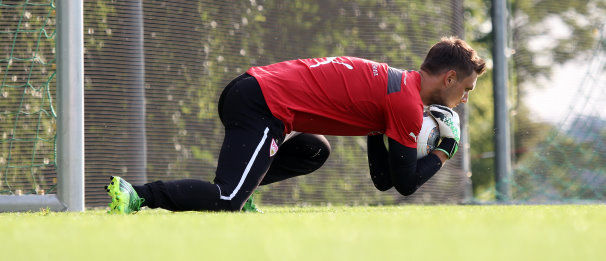 /?proxy=REDAKTION/News/2013-2014/Spezialgeraete_Torhueter_Ulreich_TL13_606x261.jpg