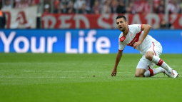 /?proxy=REDAKTION/News/2012-2013/Profis/Ibisevic_255x143.jpg