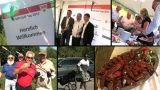 /?proxy=REDAKTION/vfbtv/VfBonTour/20120814_VfB_Golf-Cup-464x2_160x90.jpg
