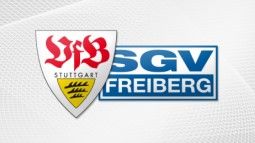 /?proxy=REDAKTION/Logos/Jugend/VfB_-_SGV_Freiberg_255x143.jpg