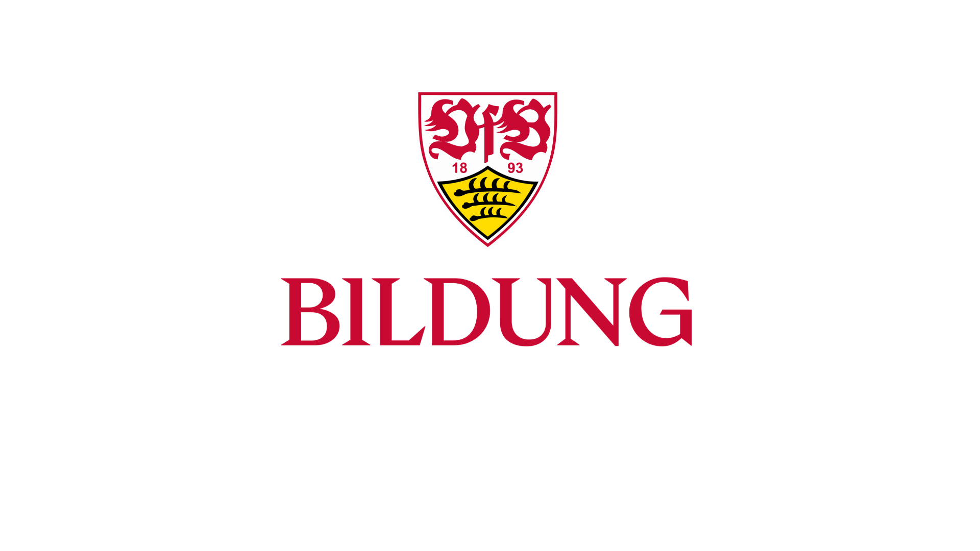 Aus VfB Bildungsakademie wird VfB Bildung