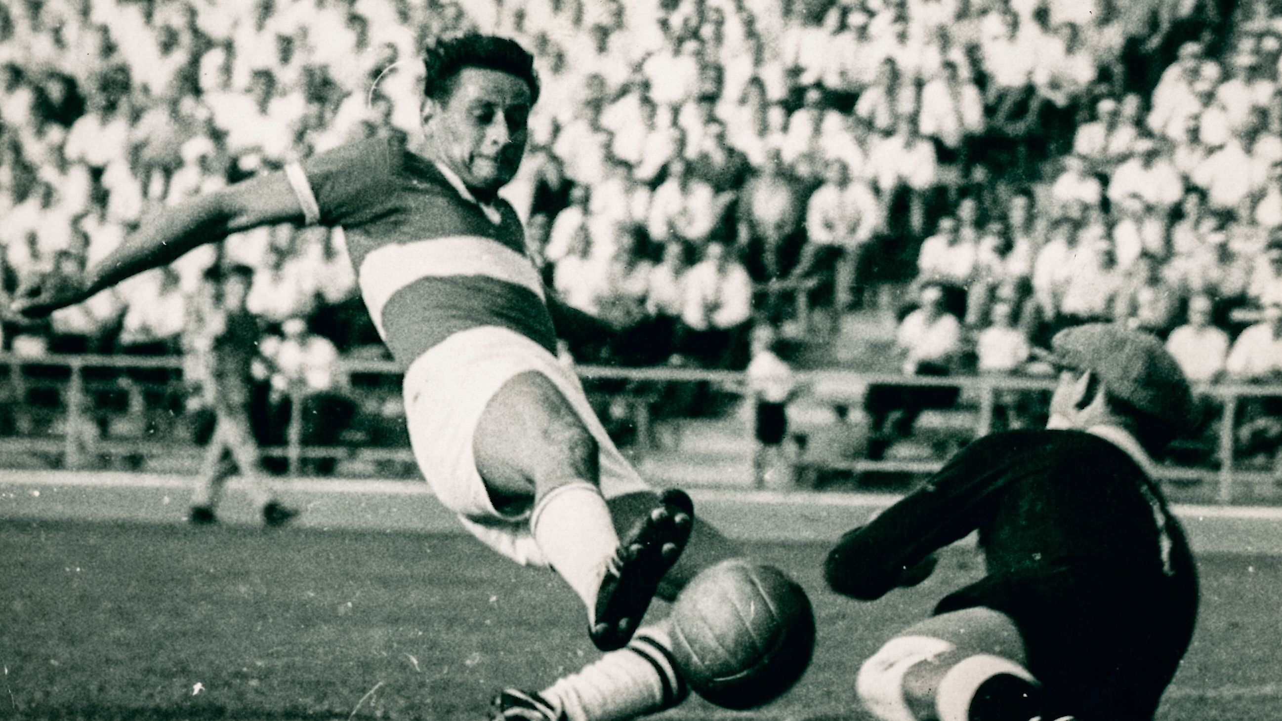 Alles Gute, Knut Tagliaferri!