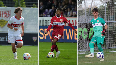 Collage-Laenderspiele-Oktober-2024_00000