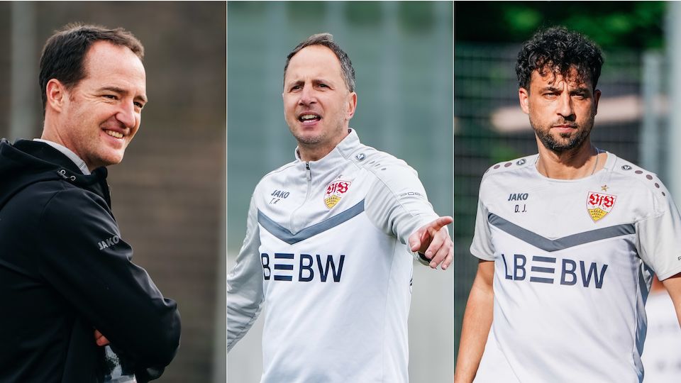 Continuity among the NLZ coaching teams