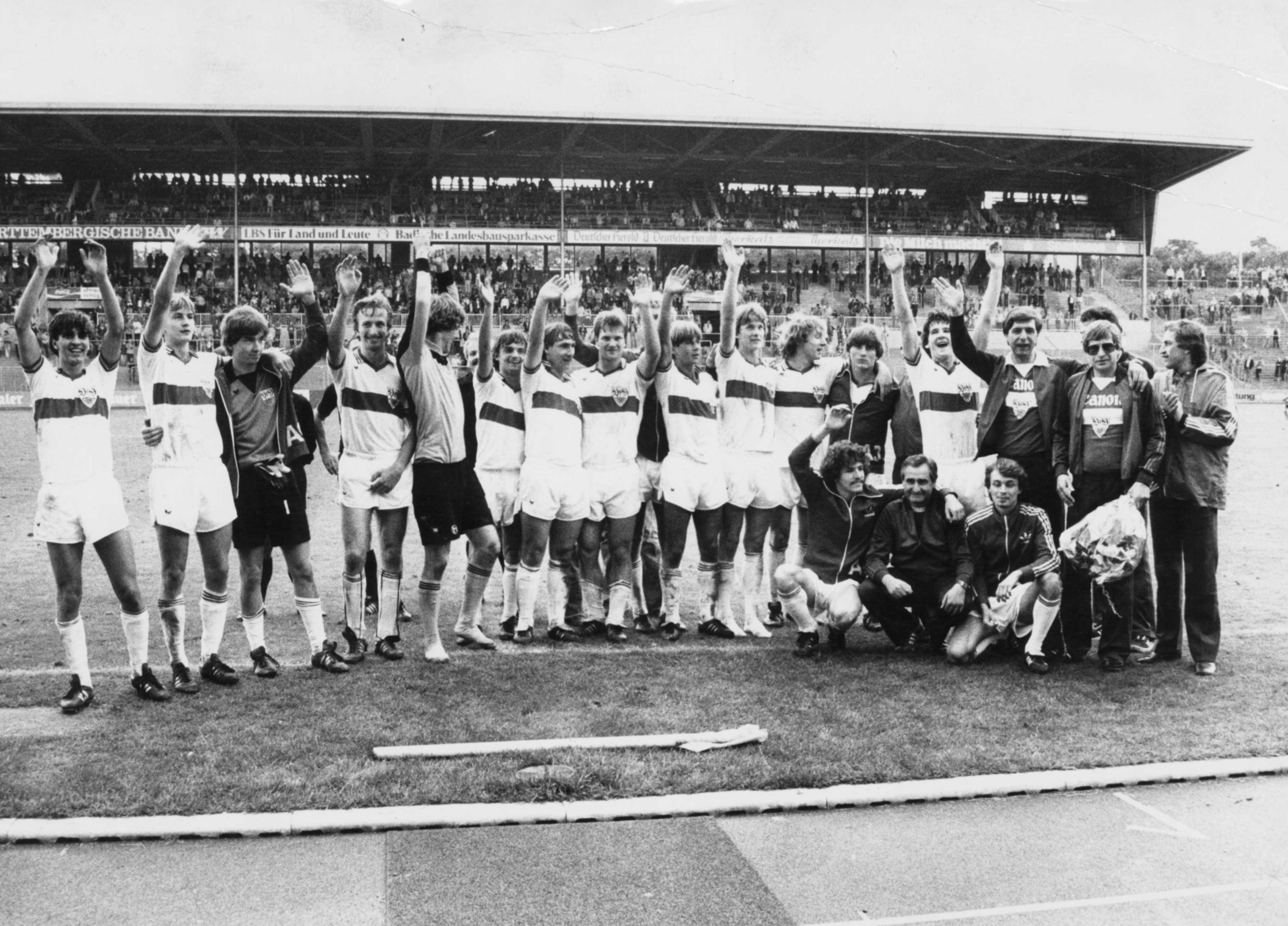 1981