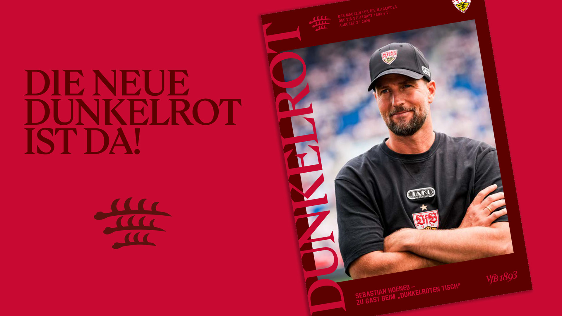 Die neue dunkelrot ist da