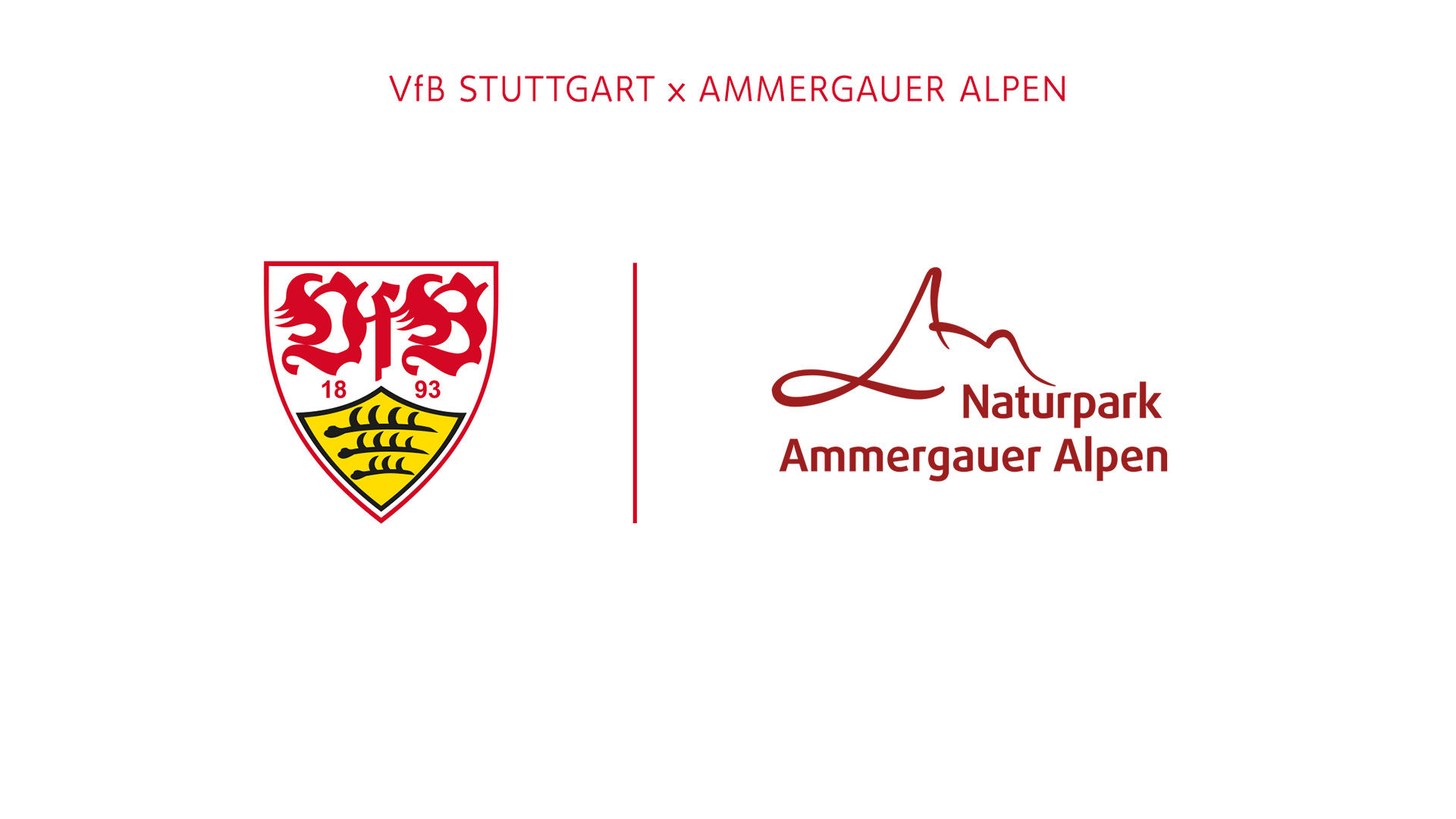 Ammergauer Alpen wird Partner der VfB Frauen