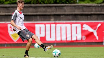 Neu beim VfB: Dzenis Burnic