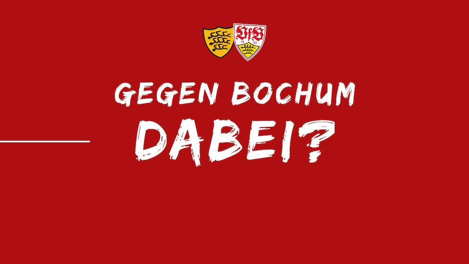 VfB Stuttgart DauerkartenRekord 2023/2024