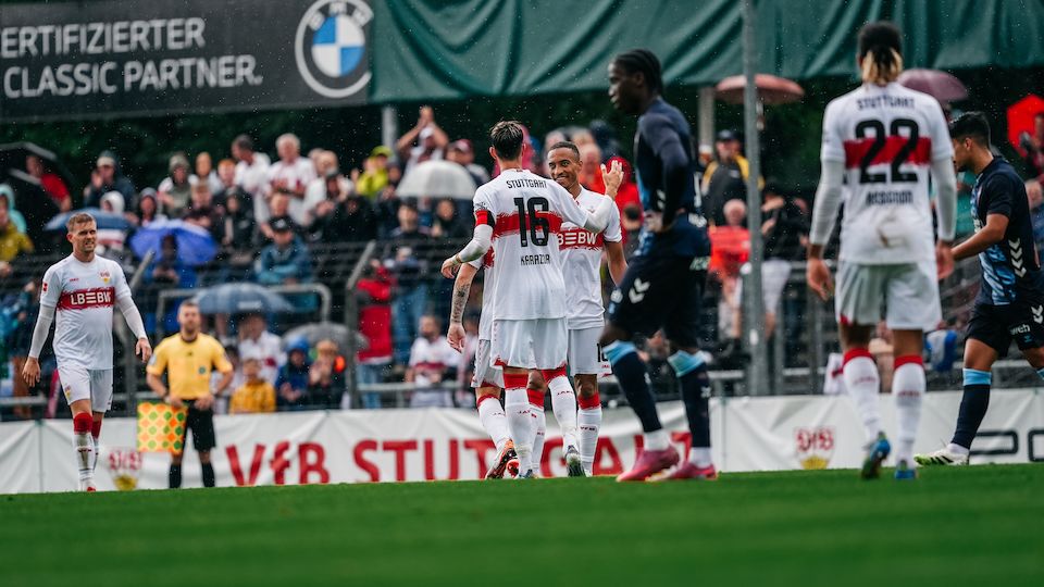 Preview image from vfb.de