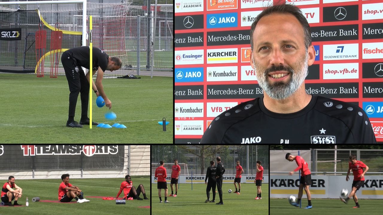 VfB Cheftrainer Pellegrino Matarazzo