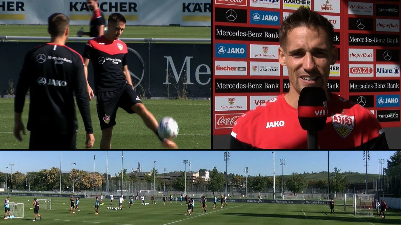 VfB 