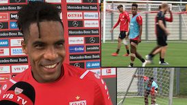 VfB Routinier Daniel Didavi