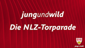 Die NLZ-Torparade: 14. - 15. August