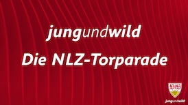 Die NLZ-Torparade: 6. - 7. November