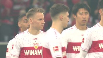 Highlights: TSG Hoffenheim - VfB Stuttgart