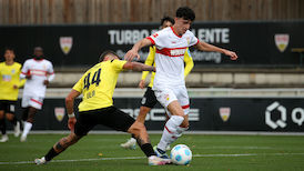 Highlights VfB - SSV Ulm