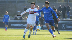 Highlights: VfB U19 - TSG Hoffenheim