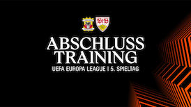 Abschlusstraining Go Ahead Eagles - VfB Stuttgart