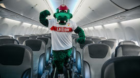 Der neue VfBExpress!