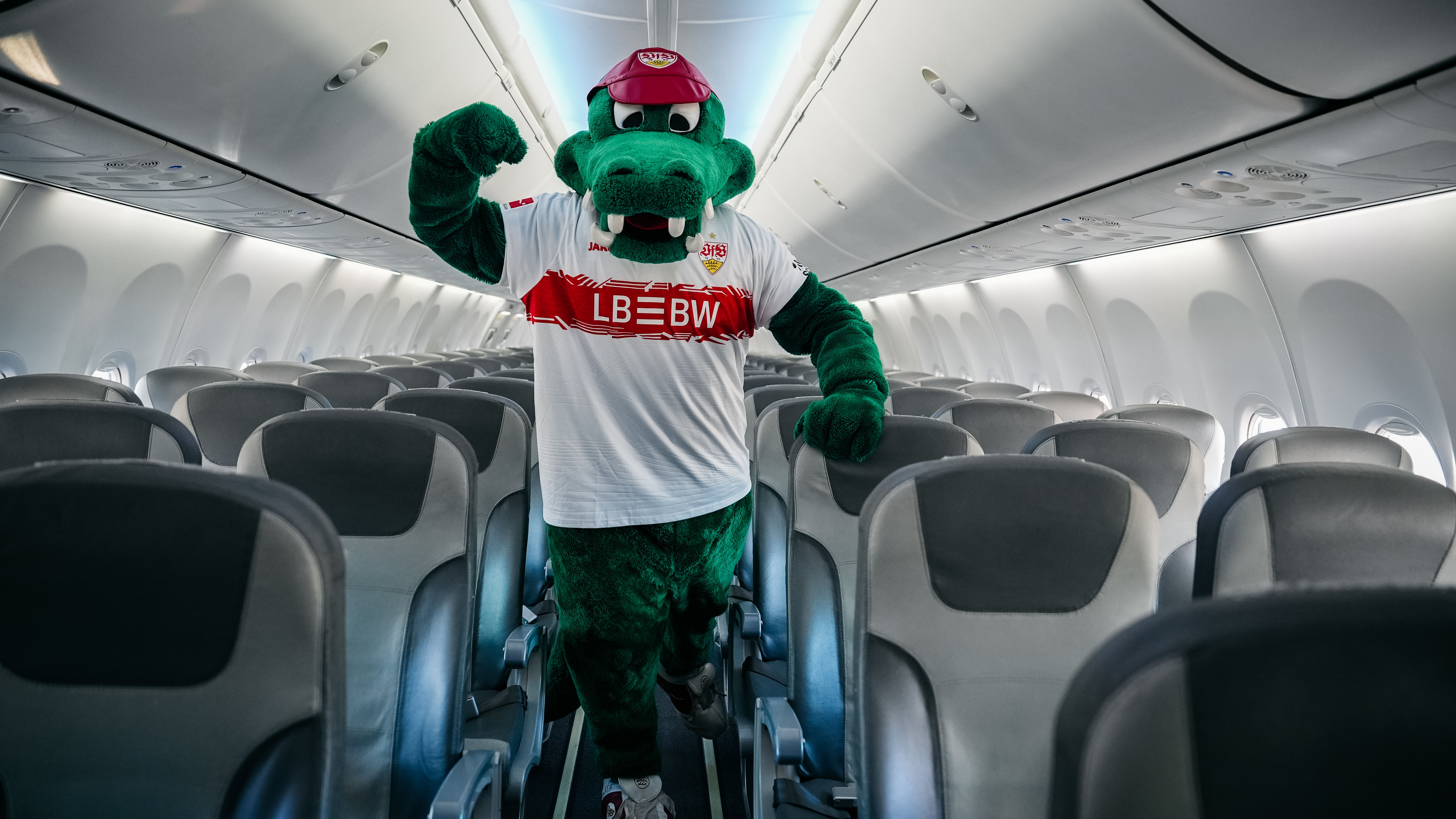 Der neue VfBExpress!