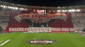 Highlights: VfB Stuttgart - BSC Young Boys