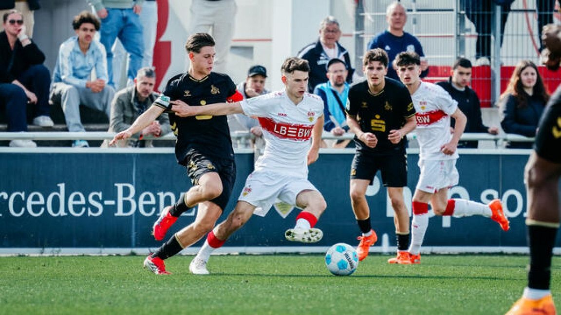 Highlights: 1. FC Köln - VfB U19